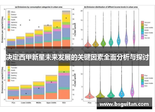 决定西甲新星未来发展的关键因素全面分析与探讨