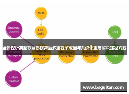 全景探析英超联赛停摆背后多重复杂成因与系统化重启解决路径方案